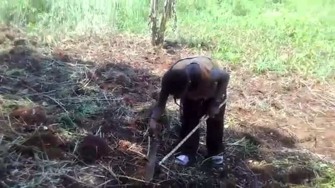 ⁣Kwa ti yaka : Loungo këkë ti gozo na Gbokila, Ombella Mpoko